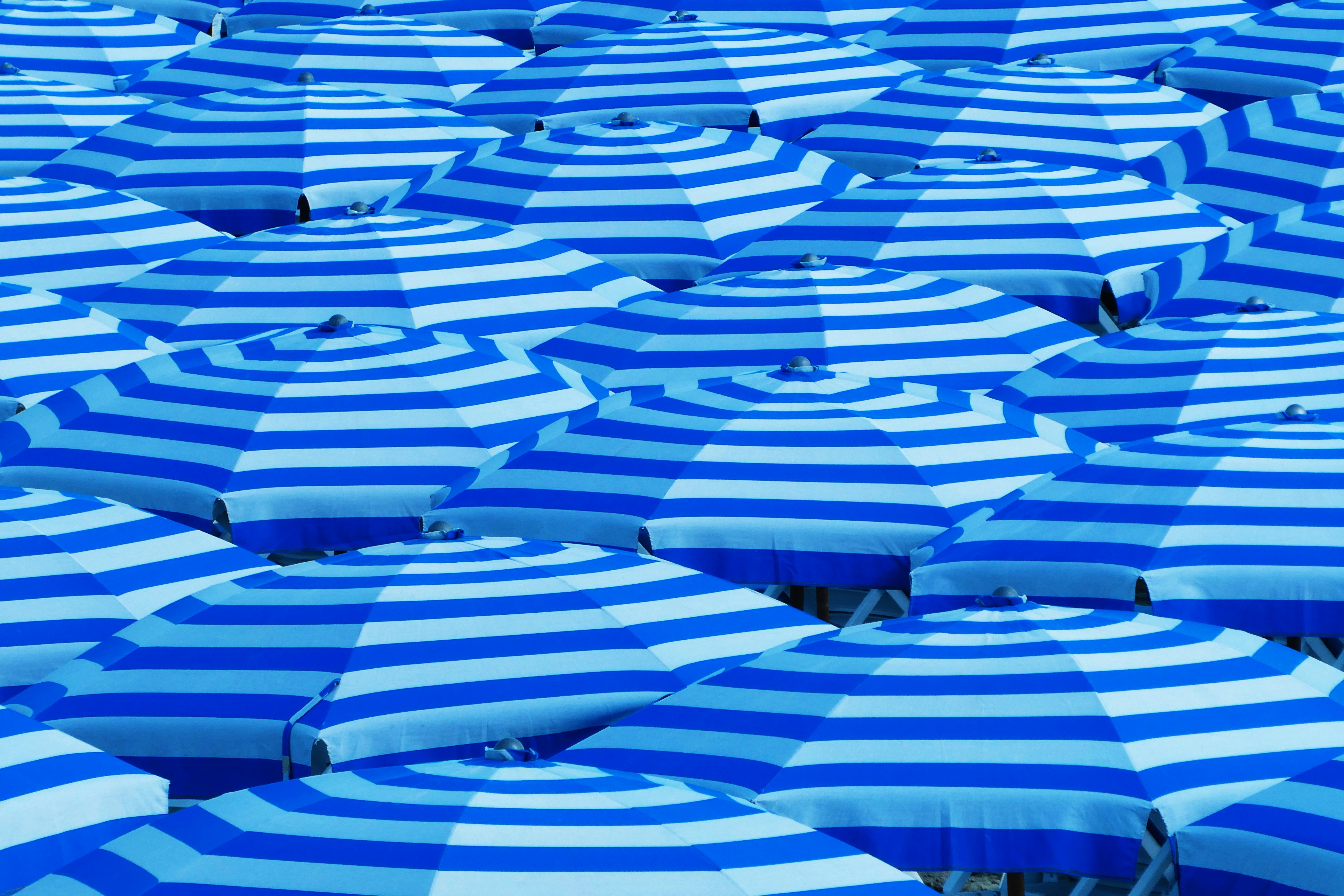 blue-and-white umbrellas